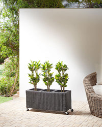Vaso per piante su ruote in finto PE Rattan nero con 3 inserti interni ed esterni