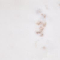 Vassoio decorativo in marmo bianco quadrato Stile moderno Home Decor