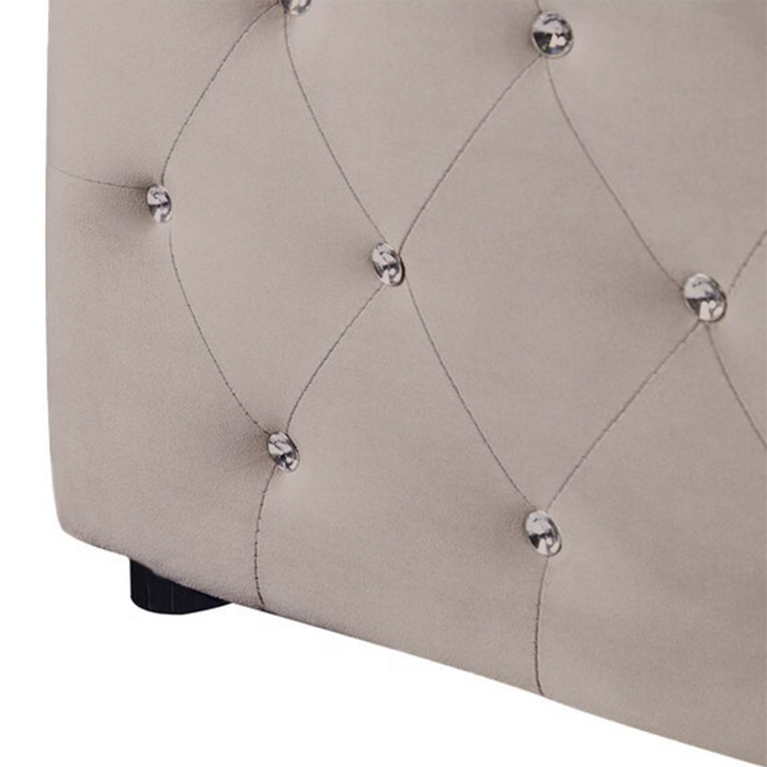 Letto Moderno Una Piazza e Mezzo con Contenitore Velluto Beige160 x 200 cm