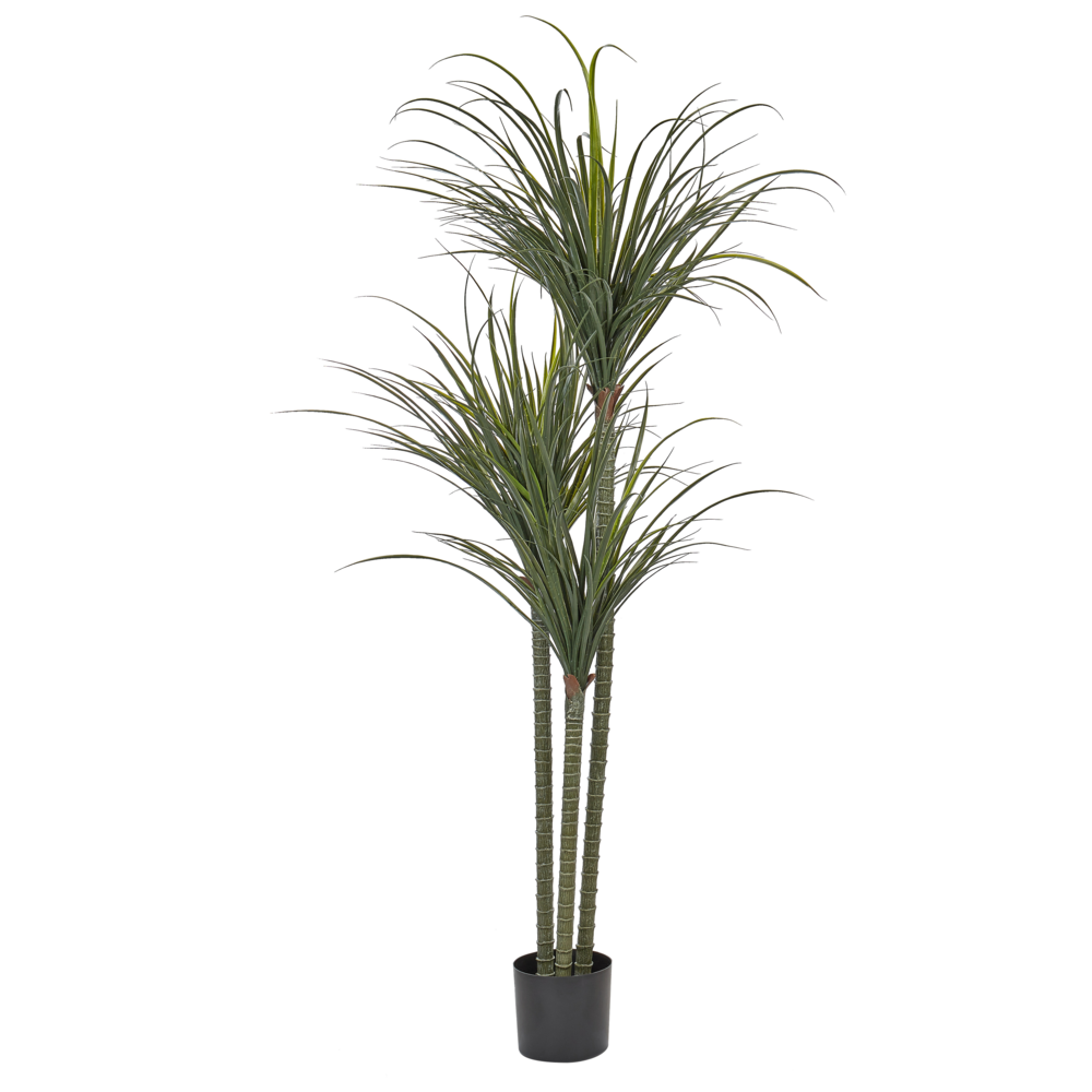 Dracaena artificiale in vaso in materiale sintetico verde 198 cm Accessorio decorativo per interni