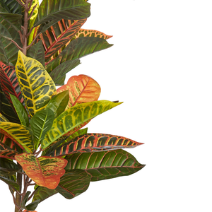 Pianta artificiale in vaso Verde e nero Materiale sintetico 140 cm Accessorio decorativo per interni Croton