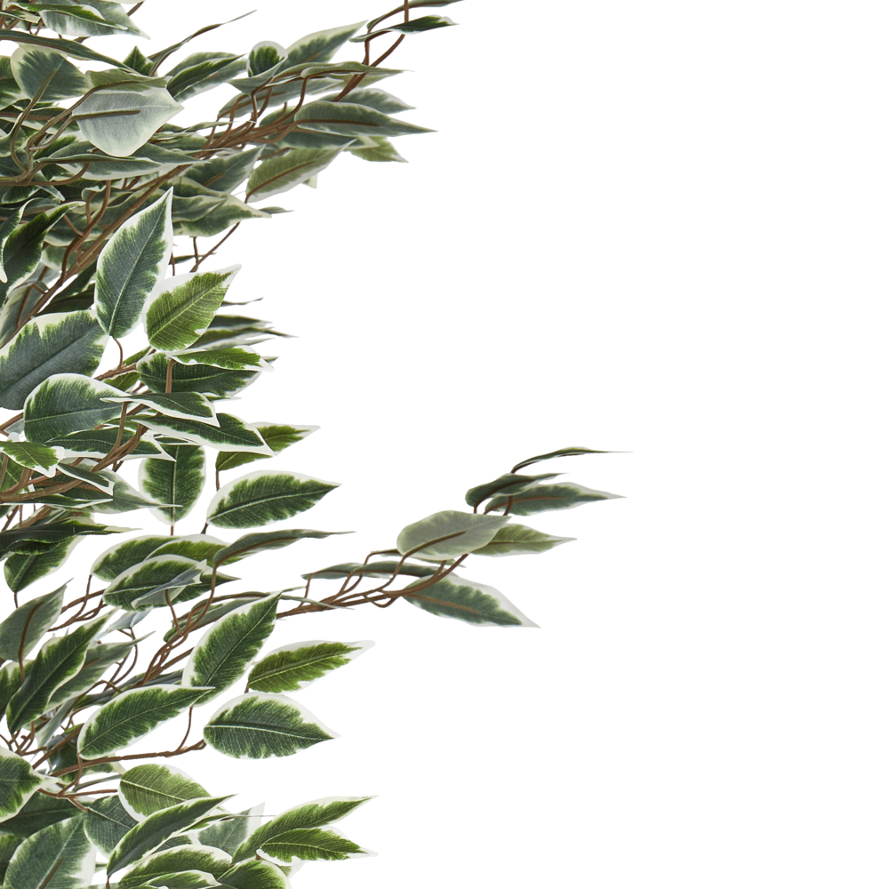 Pianta artificiale in vaso 167 cm decorazione interni ed esterni