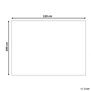 Coperta moderna in poliestere in pelliccia sintetica marrone 200 x 220 cm morbida pelliccia sintetica
