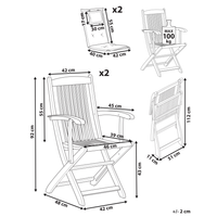 Set di 2 sedie da pranzo da giardino Legno chiaro con cuscino grigio Struttura in legno di acacia Design rustico pieghevole