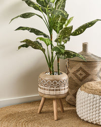 Supporto per piante Marrone chiaro Magnesio Base rotonda in legno massiccio Vaso per piante alte