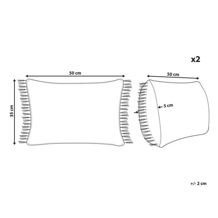 Set di 2 cuscini decorativi azzurro in cotone 35 x 50 cm con frange