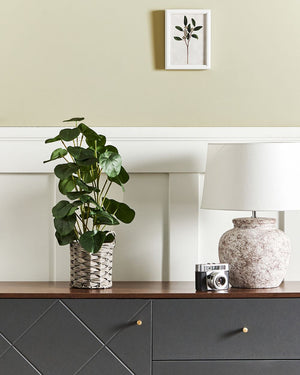 Pianta artificiale in vaso Verde e nero Materiale sintetico 55 cm Pilea Pancake Plant Accessorio decorativo per interni