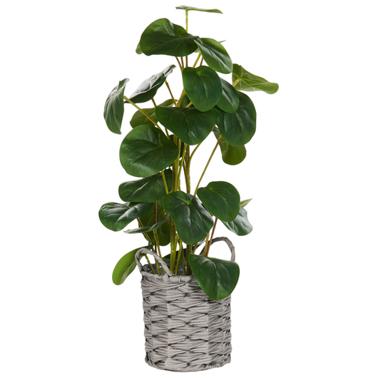 Pianta artificiale in vaso Verde e nero Materiale sintetico 55 cm Pilea Pancake Plant Accessorio decorativo per interni
