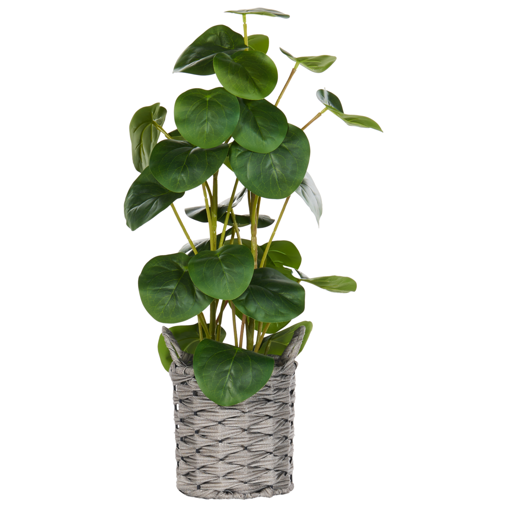 Pianta artificiale in vaso Verde e nero Materiale sintetico 55 cm Pilea Pancake Plant Accessorio decorativo per interni