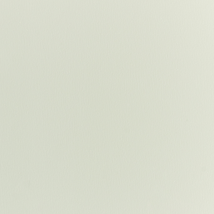 Appendiabiti in legno di pino verde chiaro MDF con motivo di dinosauro cameretta