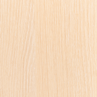 Appendiabiti in legno di pino verde chiaro MDF con motivo di dinosauro cameretta