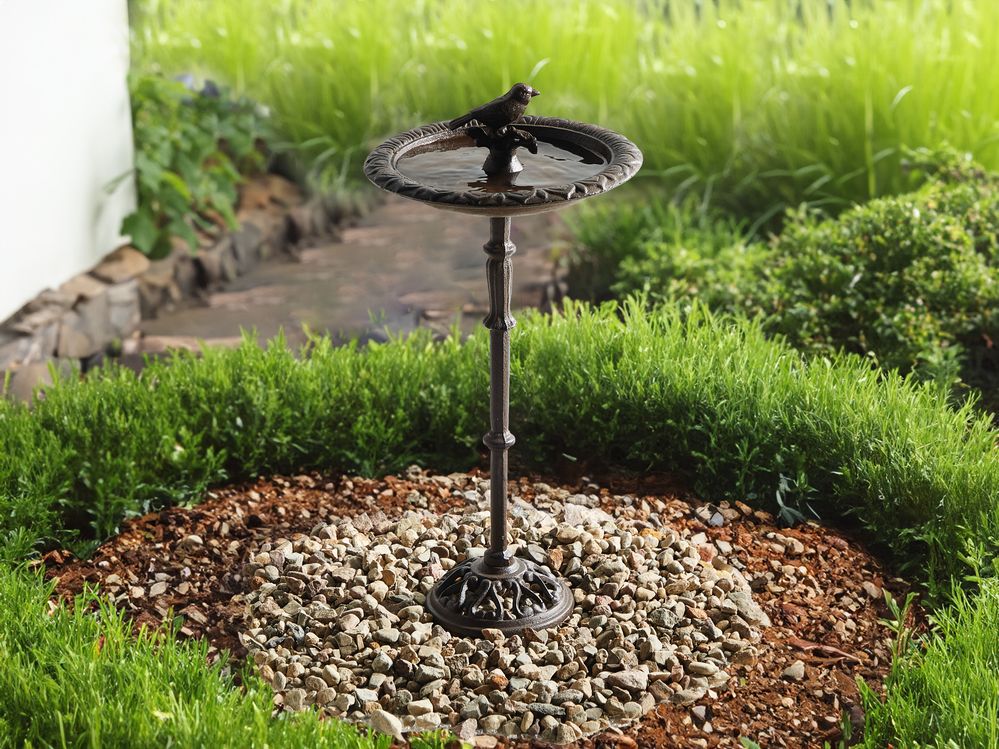 Fontana Uccelliera marrone Alimentatore d'acqua per uccelli in ferro per giardino Accento decorativo all'aperto