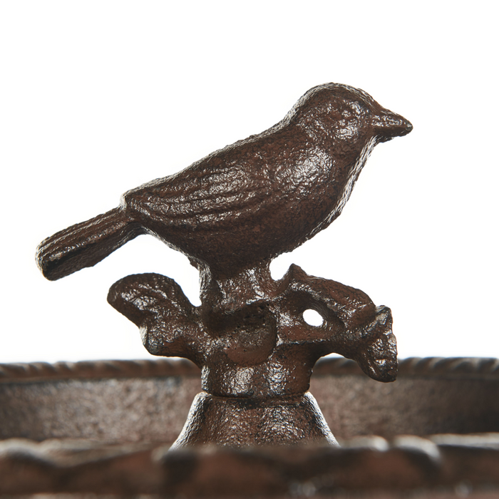 Fontana Uccelliera marrone Alimentatore d'acqua per uccelli in ferro per giardino Accento decorativo all'aperto