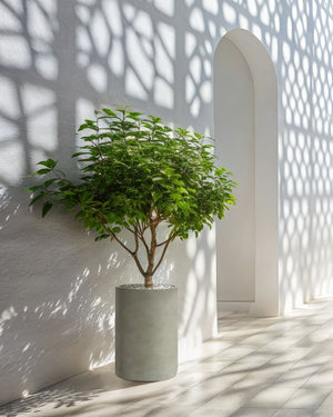 Vaso per piante Grigio 36x36x51 cm MgO Rotondo Effetto Calcestruzzo Resistente alle intemperie per interni e per esterni