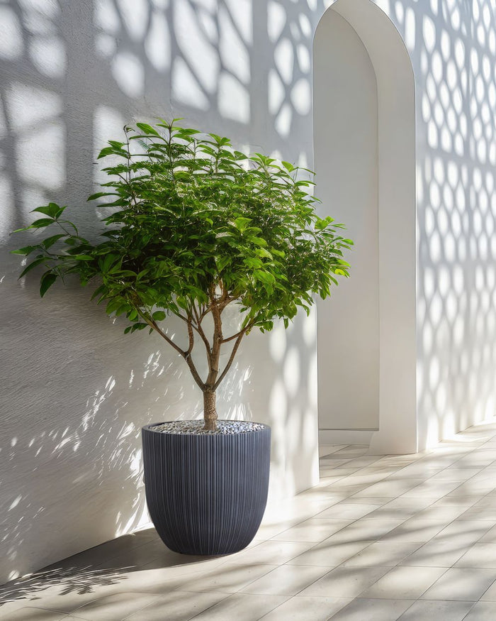 Vaso da fiori Grigio Grafite Gessato Rotondo MgO 42 x 42 x 39 cm per esterni e interni