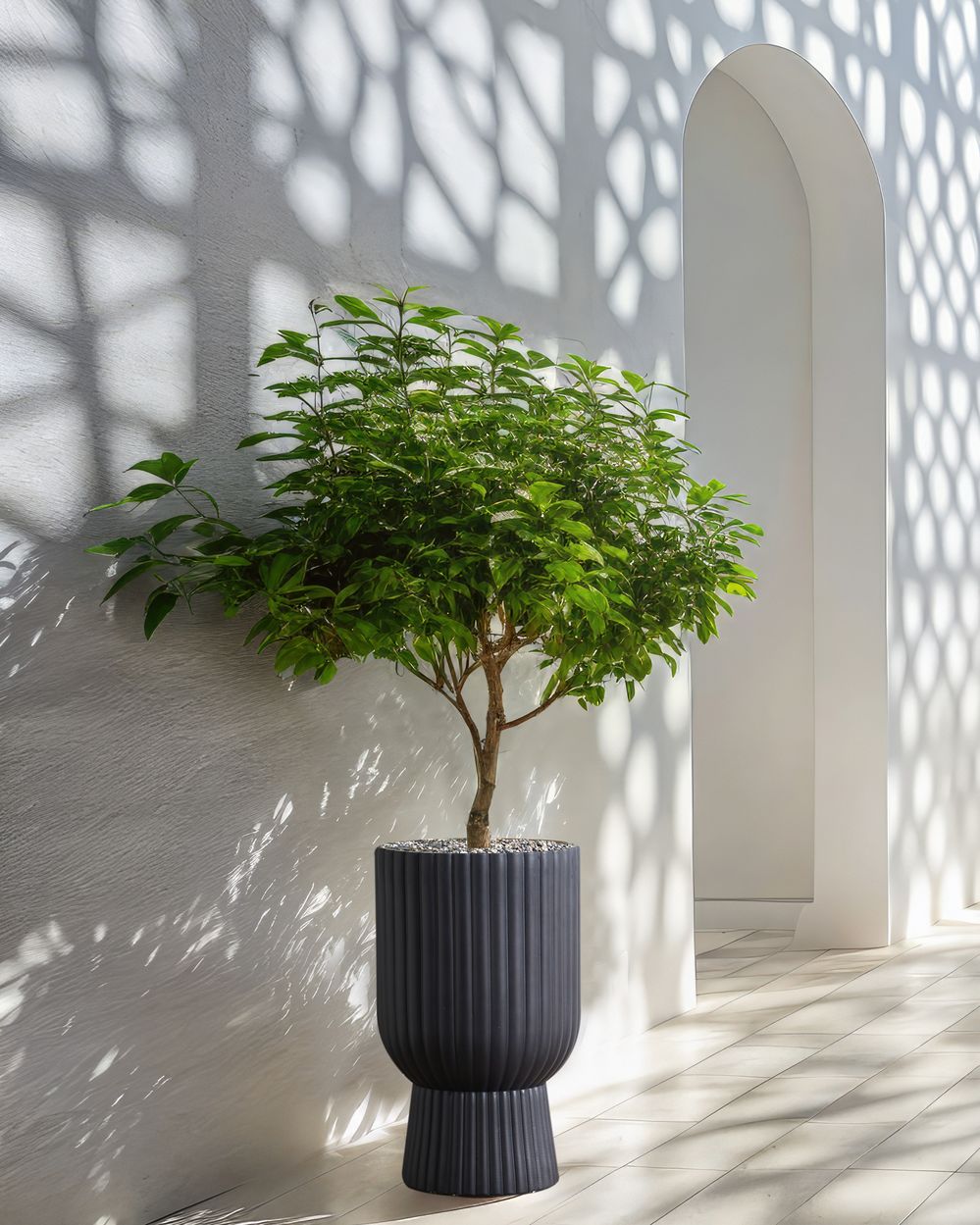 Vaso da fiori MgO grigio grafite gessato Rotondo 34 x 34 x 56 cm per esterni e interni