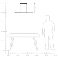 Lampada a sospensione Base in ferro alluminio nero con telecomando Luce LED integrata a sospensione Illuminazione moderna