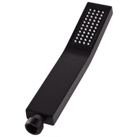 Soffione doccia in metallo nero 1 modalità di spruzzo Moderno