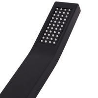 Soffione doccia in metallo nero 1 modalità di spruzzo Moderno