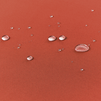 Set da bistrot da giardino Tavolo in legno di acacia 2 sedie con cuscini rosso pieghevole resistente ai raggi UV