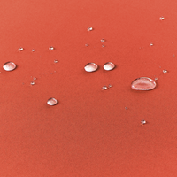 Cuscino per lettino prendisole rosso in poliestere resistente ai raggi UV con lacci e cuscino poggiatesta spesso