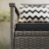 Panchina da Giardino da 2 Posti, Panca Portatrucchi 160L in Rattan PE con 2 Cuscini, 112 x 62 x 82 cm, Grigio