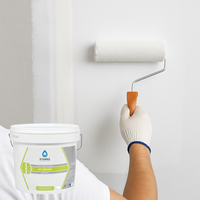 St-grund-int fondo collegamento uniformante supercoprente mascherante interni *** formato 5 lt, confezione 1