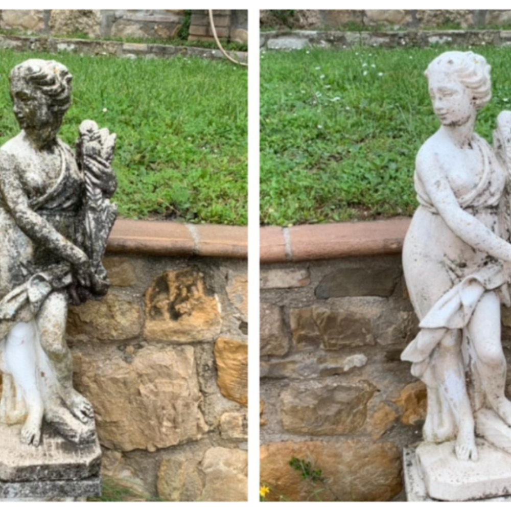 Detergente azione igienizzante pietre intonaci macchie aloni bio c 1 litro