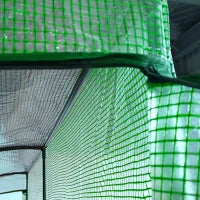 Serra da Parete con 2 Ripiani per Piante e Fiori in Acciaio e PE, 200x100x215 cm, Verde