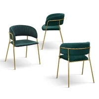 PAZZO DESIGN Sedia Penelope Verde set da 2 sedie in velluto e gambe in metallo