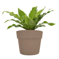 Vasetto Magnetic Cm 22.5X36 Tortora Tecnokit