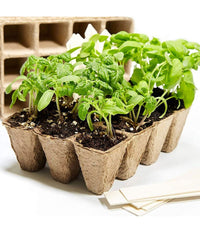 Vasi Vasetti Biodegradabili Per Piantine Piante Fiori Semenzaio 40pz 6x6x4.5cm         