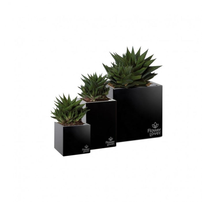 Vaso CUBICO 14x14x14 cm, con sistema di auto-irrigazione