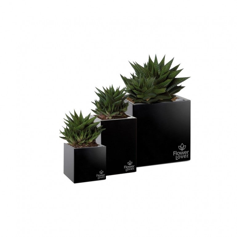 Vaso CUBICO 14x14x14 cm, con sistema di auto-irrigazione