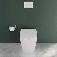 Vaso WC filomuro rimless in ceramica bianco opaco con sedile soft-close | Europa Small