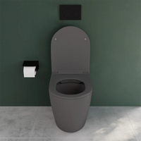 Vaso WC filomuro rimless in ceramica grigio opaco con sedile soft-close | Europa Small