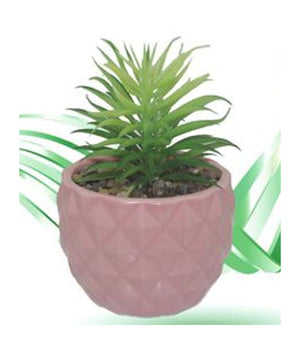 Trade Shop - Vaso In Ceramiche Per Piantine Casa Giardino Decorazione Interno Casa 15x9 Cm -