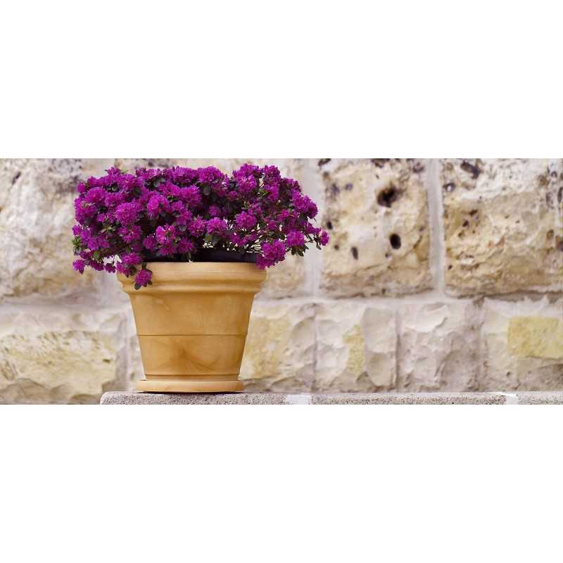 Vaso in Polimero Monacis Doppio Bordo Liscio Impruneta Ø50 (50X42h)