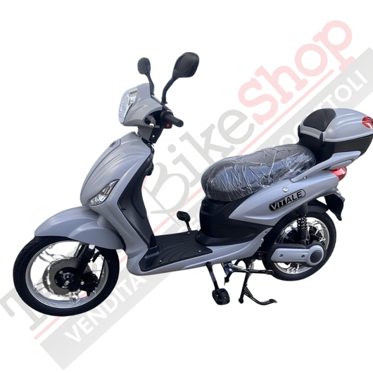 Bici Elettrica Scooter Velocipede Vitale NJT-007 250W  20Ah 48V Batteria a Grafene-Grigio
