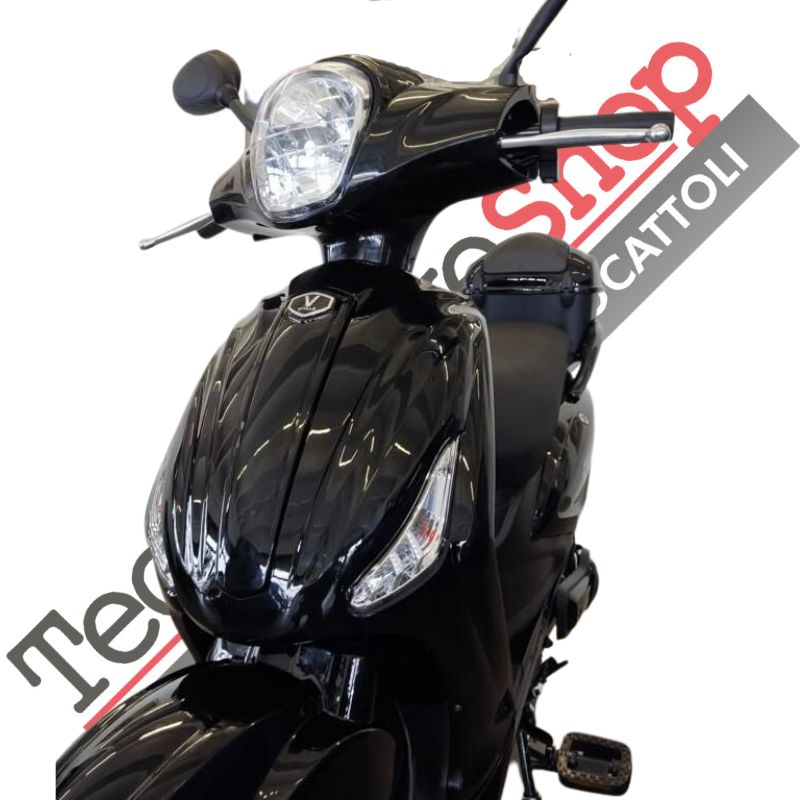 Bici Elettrica Scooter Velocipede Vitale NJT-007 250W  20Ah 48V Batteria a Grafene-Nero