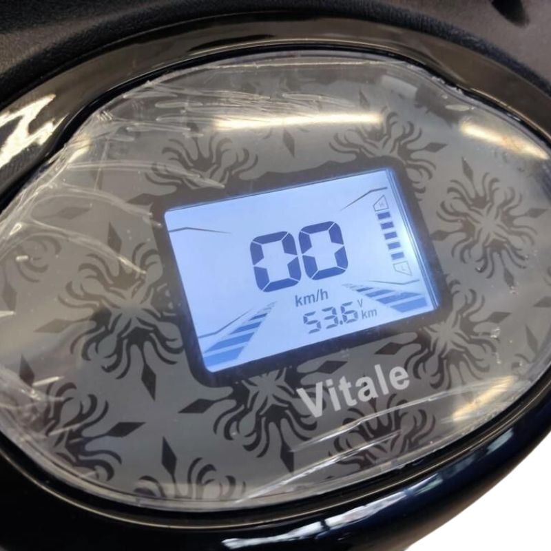 Bici Elettrica Scooter Velocipede Vitale NJT-007 250W  20Ah 48V Batteria a Grafene-Nero