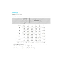 Vite carrettiere 6x100/21mm - 10pz vite metrica testa tonda con quadro sottotesta bassa resistenza