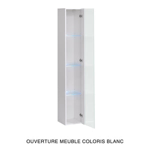 Vetrina sospesa – Grigio – Collezione SWITCH – Porta in vetro e LED inclusi – Modello grande