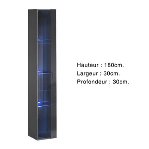 Vetrina sospesa – Grigio – Collezione SWITCH – Porta in vetro e LED inclusi – Modello grande