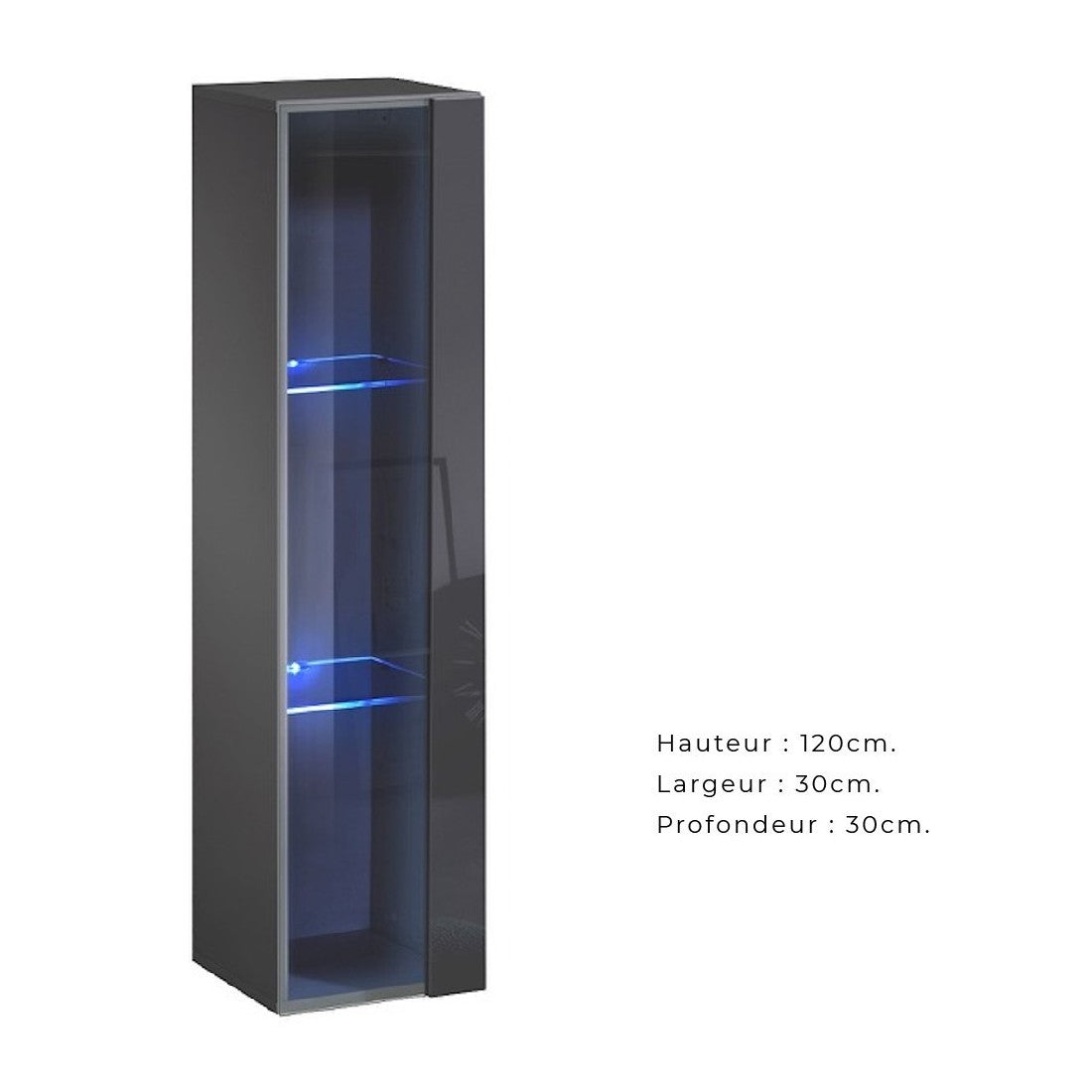 Vetrina sospesa - Grigio - Collezione SWITCH - Porta in vetro e LED inclusi - Modello piccolo