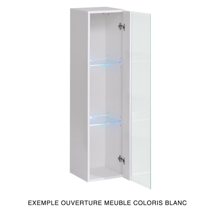 Vetrina sospesa - Grigio - Collezione SWITCH - Porta in vetro e LED inclusi - Modello piccolo