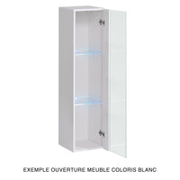 Vetrina sospesa nera piccolo modello con 1 porta a vetro e illuminazione LED inclusa. Collezione SWITCH.