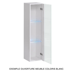 Vetrina sospesa nera piccolo modello con 1 porta a vetro e illuminazione LED inclusa. Collezione SWITCH.