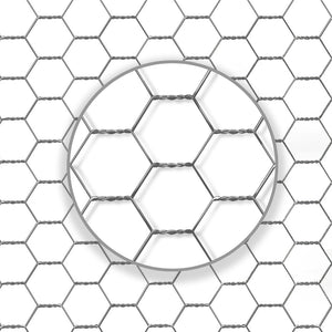 IDMarket - Voliera di 18 m² con recinto in rete metallica di 6 x 3 M per animali da cortile