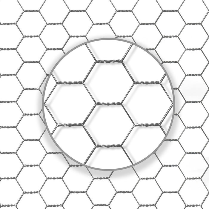 IDMarket - Voliera di 18 m² con recinto in rete metallica di 6 x 3 M per animali da cortile